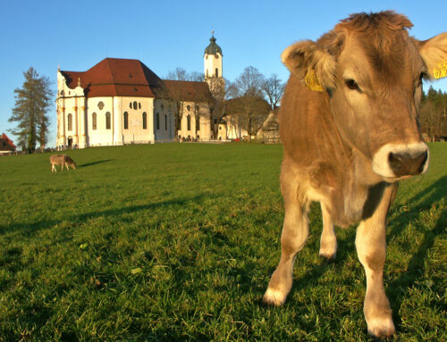 Unterwegs im Wilden Süden: Tränen und Whow!