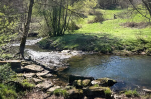 Idyllischer Bachlauf