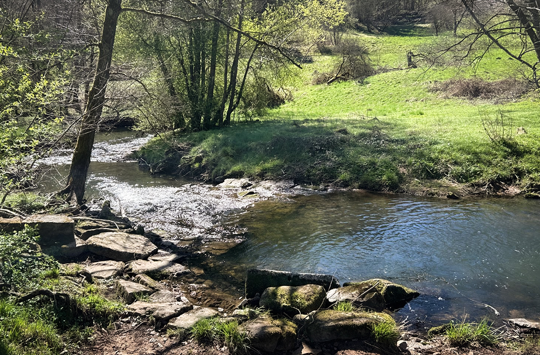 Idyllischer Bachlauf