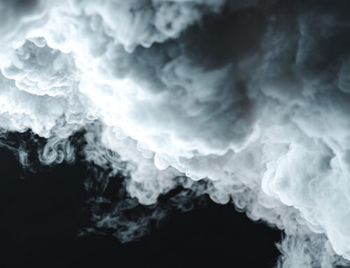 Die deutschen Bischöfe zwischen Konsens und Dissens