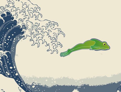 Frosch im Ozean