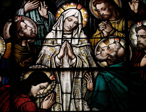 Ut unum sint