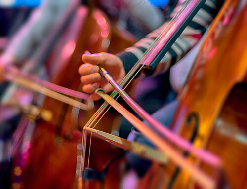 Symphonie der Einheit