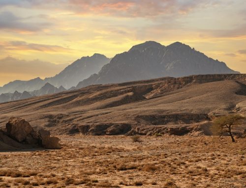 Hinter dem Neuen Anfang:  Hannah Kohn