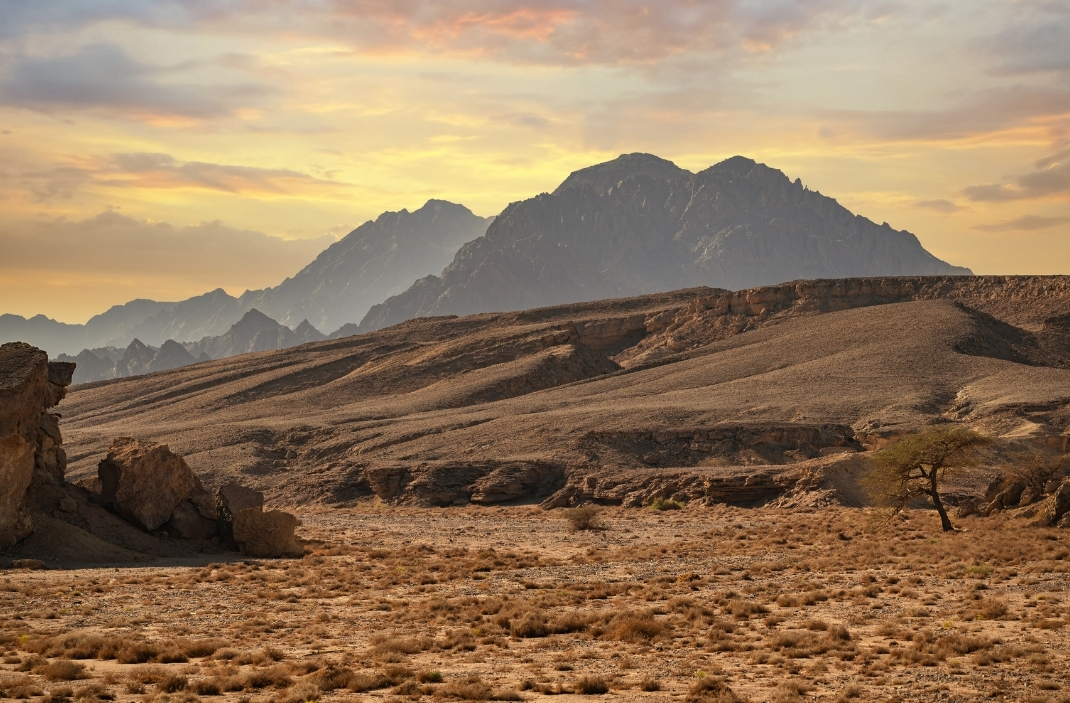 Berg Sinai